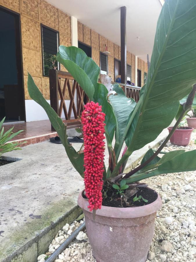 Panglao Rainbow Inn Ταγκμπιλαράν Εξωτερικό φωτογραφία
